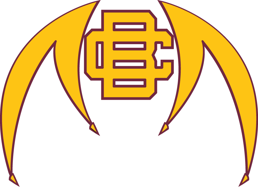 Bethune-Cookman Wildcats 2010-Pres Alternate Logo t shirts iron on transfers